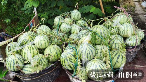 温州吃瓜爆料是真的吗,真相揭秘，是真是假？