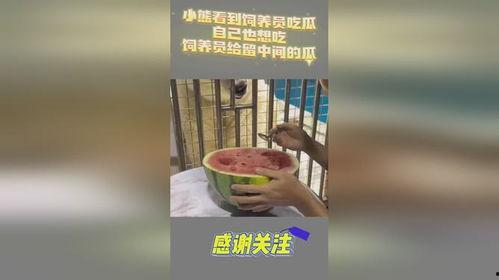 吃瓜爆料的小熊叫什么,揭秘娱乐圈幕后真相