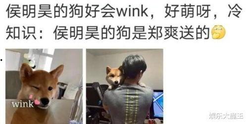 吃瓜爆料郑爽侯明昊,娱乐圈新恋情疑云
