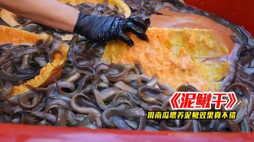 沉香吃瓜爆料视频大全集,视频大全集深度解析