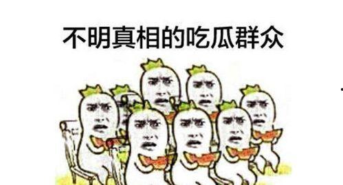 吃瓜群众爆料录屏视频,事件现场全程回顾