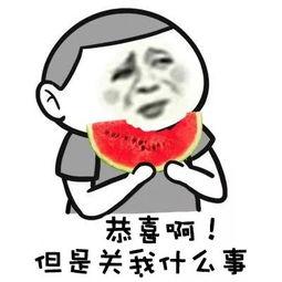 吃瓜群众爆料录屏视频,事件现场全程回顾