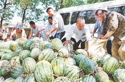 长垣县今日吃瓜爆料,吃瓜爆料，揭秘幕后真相