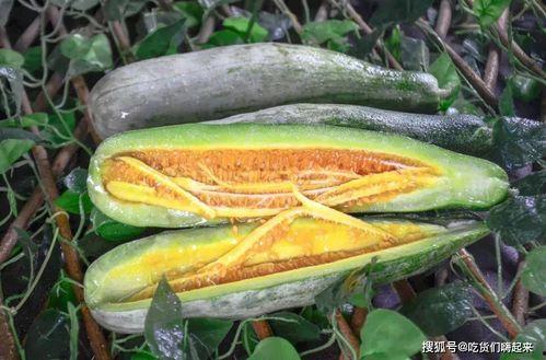 各类网红爆料吃瓜站,吃瓜站背后的热门事件大盘点