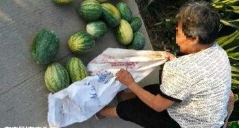 夏邑吃瓜最新事件爆料,揭秘背后惊人真相，网络热议持续升温